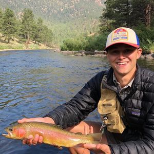 Meet your Posher, Reid